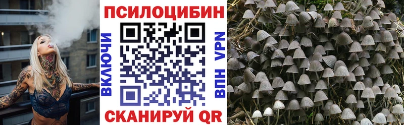 Галлюциногенные грибы мухоморы  Находка 